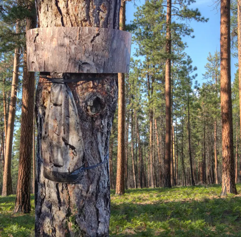 PineProtect Pin Mr NuiZZZible