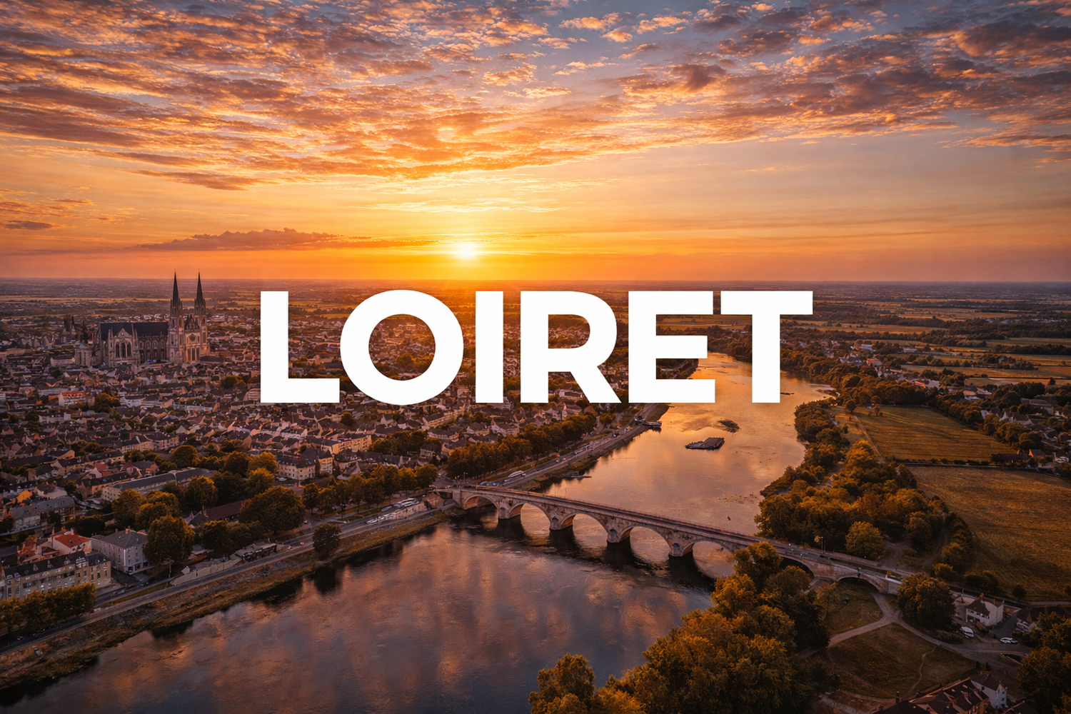 Dératisation désinsectisation Loiret 45 - Mr NuiZZZible traitement nuisibles